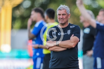 Hartberg vs. Austria Lustenau