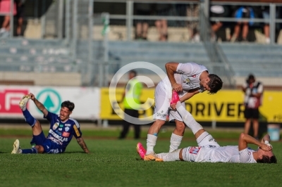 Hartberg vs. Austria Lustenau