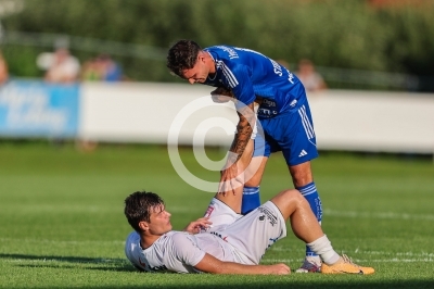 Hartberg vs. Austria Lustenau