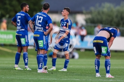 Hartberg vs. Austria Lustenau