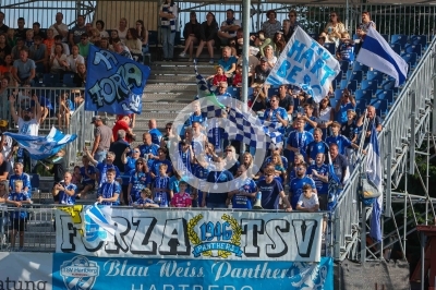 Hartberg vs. Austria Lustenau