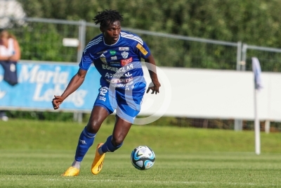 Hartberg vs. Austria Lustenau