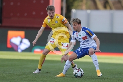 Hartberg vs. Austria Wien