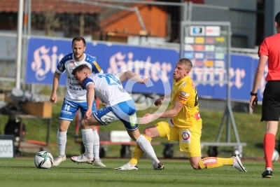Hartberg vs. Austria Wien
