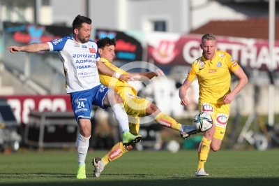 Hartberg vs. Austria Wien