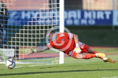 Hartberg vs. Austria Wien