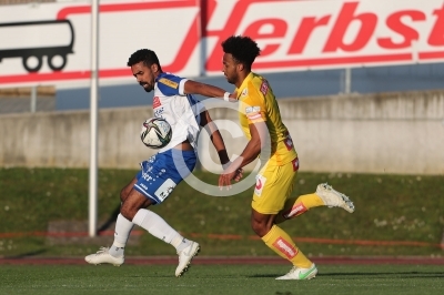 Hartberg vs. Austria Wien