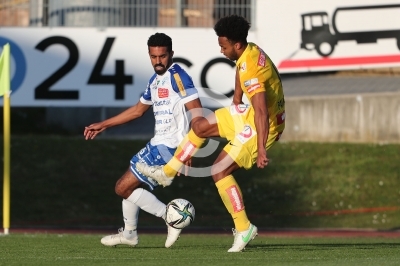 Hartberg vs. Austria Wien