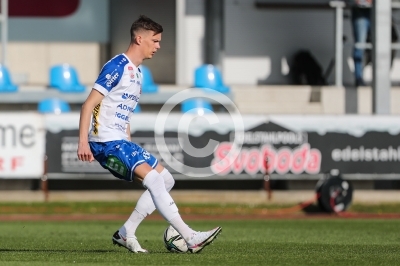 Hartberg vs. Austria Wien