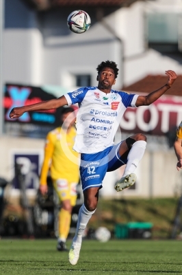 Hartberg vs. Austria Wien