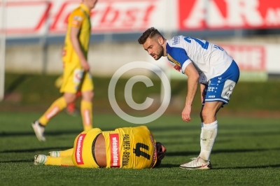 Hartberg vs. Austria Wien