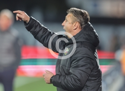 Hartberg vs. Rapid Wien