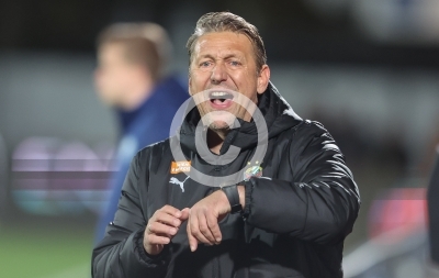 Hartberg vs. Rapid Wien