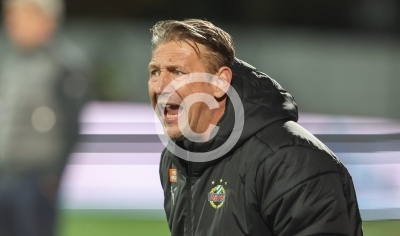 Hartberg vs. Rapid Wien