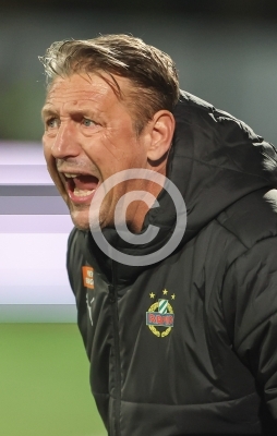 Hartberg vs. Rapid Wien