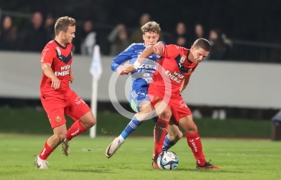Hartberg vs. Rapid Wien