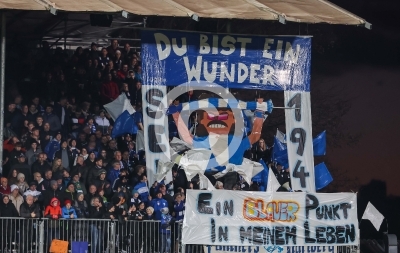 Hartberg vs. Rapid Wien