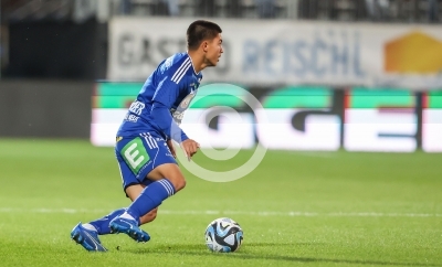 Hartberg vs. Rapid Wien