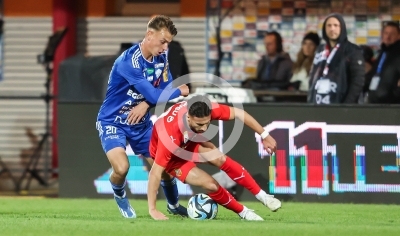 Hartberg vs. Rapid Wien