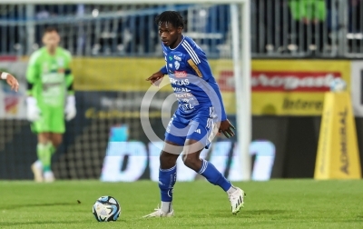 Hartberg vs. Rapid Wien