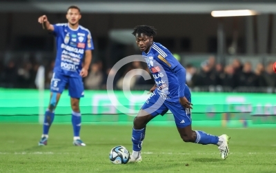 Hartberg vs. Rapid Wien