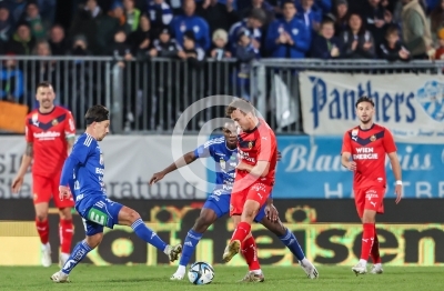 Hartberg vs. Rapid Wien