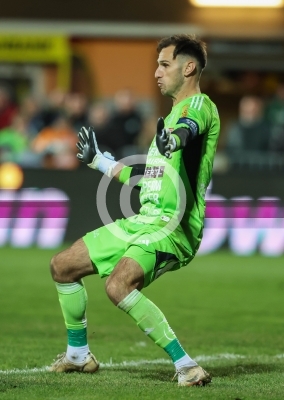 Hartberg vs. Rapid Wien