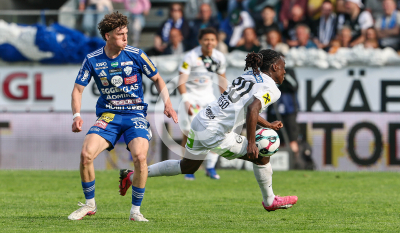 Hartberg vs. Sturm Graz