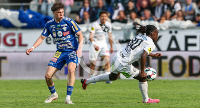 Hartberg vs. Sturm Graz