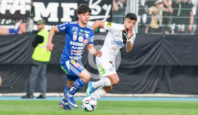 Hartberg vs. Sturm Graz