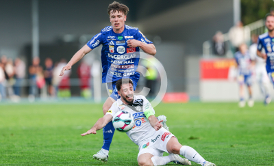 Hartberg vs. Sturm Graz