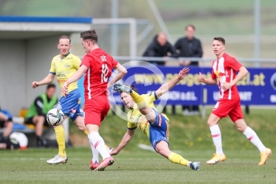 Lafnitz vs. Liefering