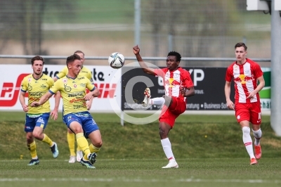Lafnitz vs. Liefering