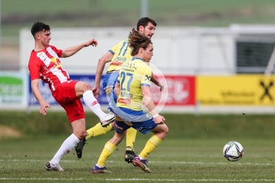 Lafnitz vs. Liefering