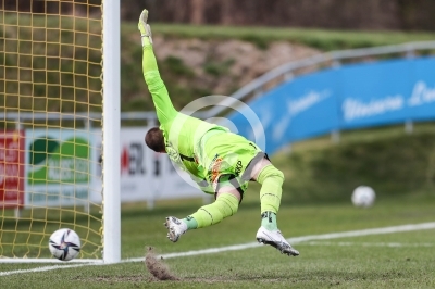 Lafnitz vs. Liefering