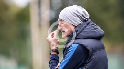 LUV Graz vs. Wild Cats Krottendorf