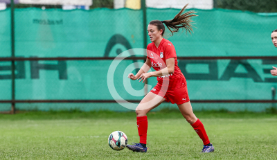 LUV Graz vs. Wild Cats Krottendorf