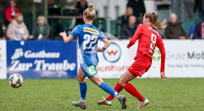 LUV Graz vs. Wild Cats Krottendorf