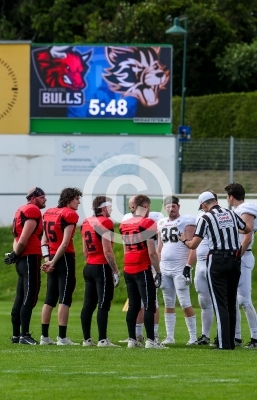 Murtal Bulls vs. Goldwoerth Raccoons
