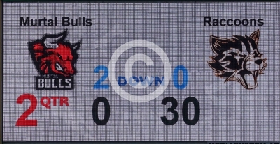 Murtal Bulls vs. Goldwoerth Raccoons