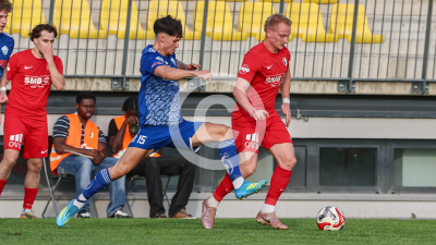 Pachern vs. Eggendorf Hartberg Amateure