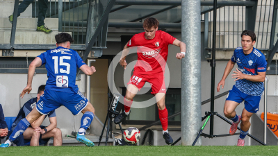 Pachern vs. Eggendorf Hartberg Amateure