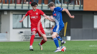 Pachern vs. Eggendorf Hartberg Amateure