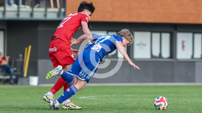Pachern vs. Eggendorf Hartberg Amateure