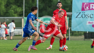 Pachern vs. Eggendorf Hartberg Amateure