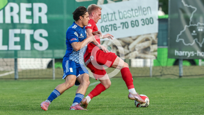 Pachern vs. Eggendorf Hartberg Amateure
