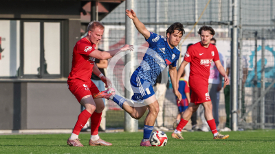 Pachern vs. Eggendorf Hartberg Amateure