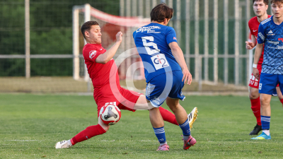 Pachern vs. Eggendorf Hartberg Amateure