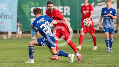 Pachern vs. Eggendorf Hartberg Amateure