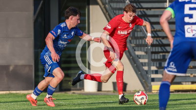 Pachern vs. Eggendorf Hartberg Amateure